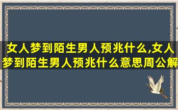 女人梦到陌生男人预兆什么,女人梦到陌生男人预兆什么意思周公解 🦢 梦
